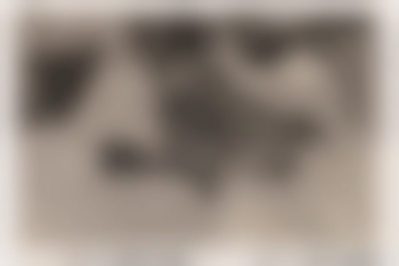 0038so00019
